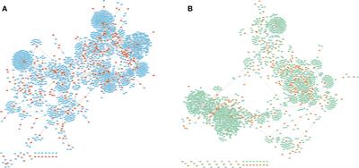 Dissecting lncRNA-mRNA competitive regulatory network in human islet tissue exosomes of a type 1 diabetes model reveals exosome miRNA markers